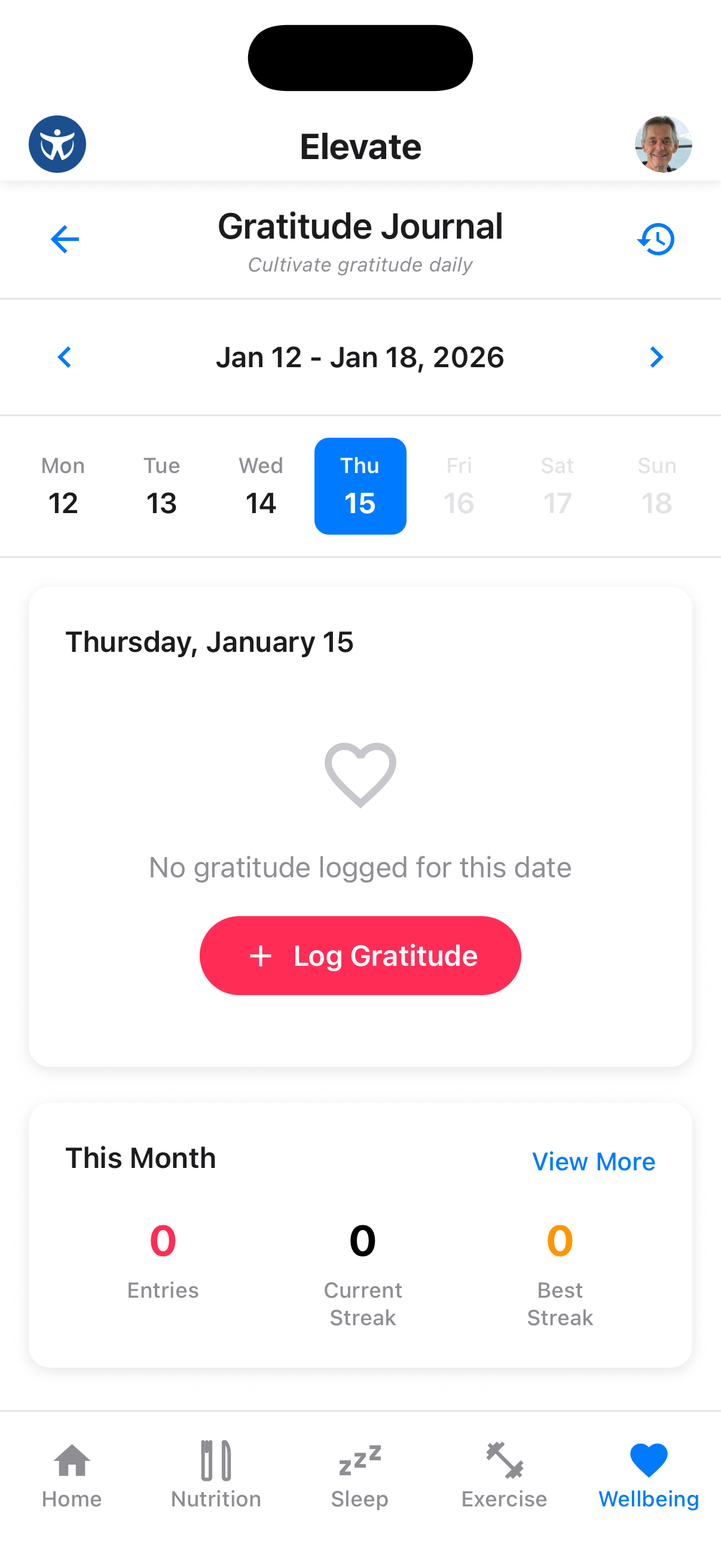 Gratitude journal with past entries