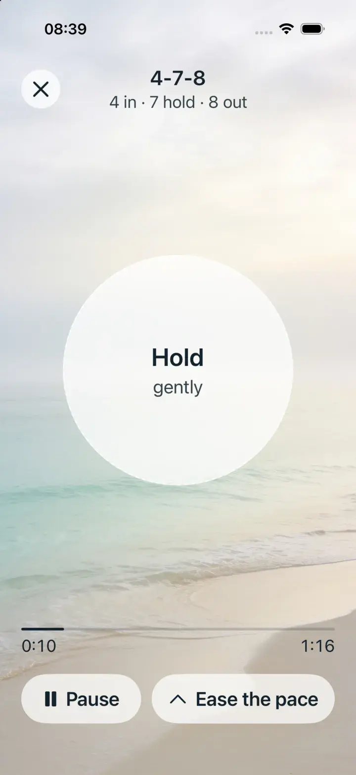 A breathing session on the Quiet Coast scene: a calm beach with a soft pacing circle.